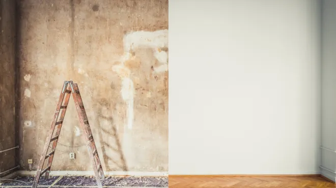 Interior mold removal before and after pictures